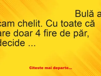 Banc: Cu toate că are doar 4 fire de păr, Bulă decide să se ducă la frizer