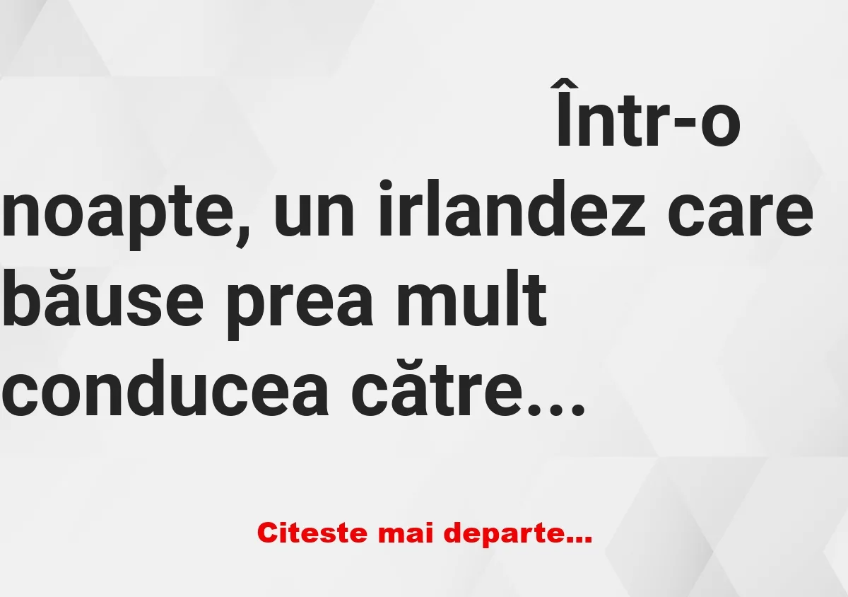 Banc: Într-o noapte, un irlandez care băuse prea mult conducea către casă