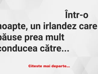 Banc: Într-o noapte, un irlandez care băuse prea mult conducea către casă