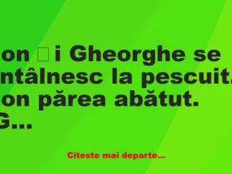 Banc: Ion și Gheorghe se întâlnesc la pescuit. Ion părea abătut.