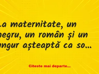 Banc: La maternitate, un negru, un român și un ungur așteaptă ca soțiile lor…