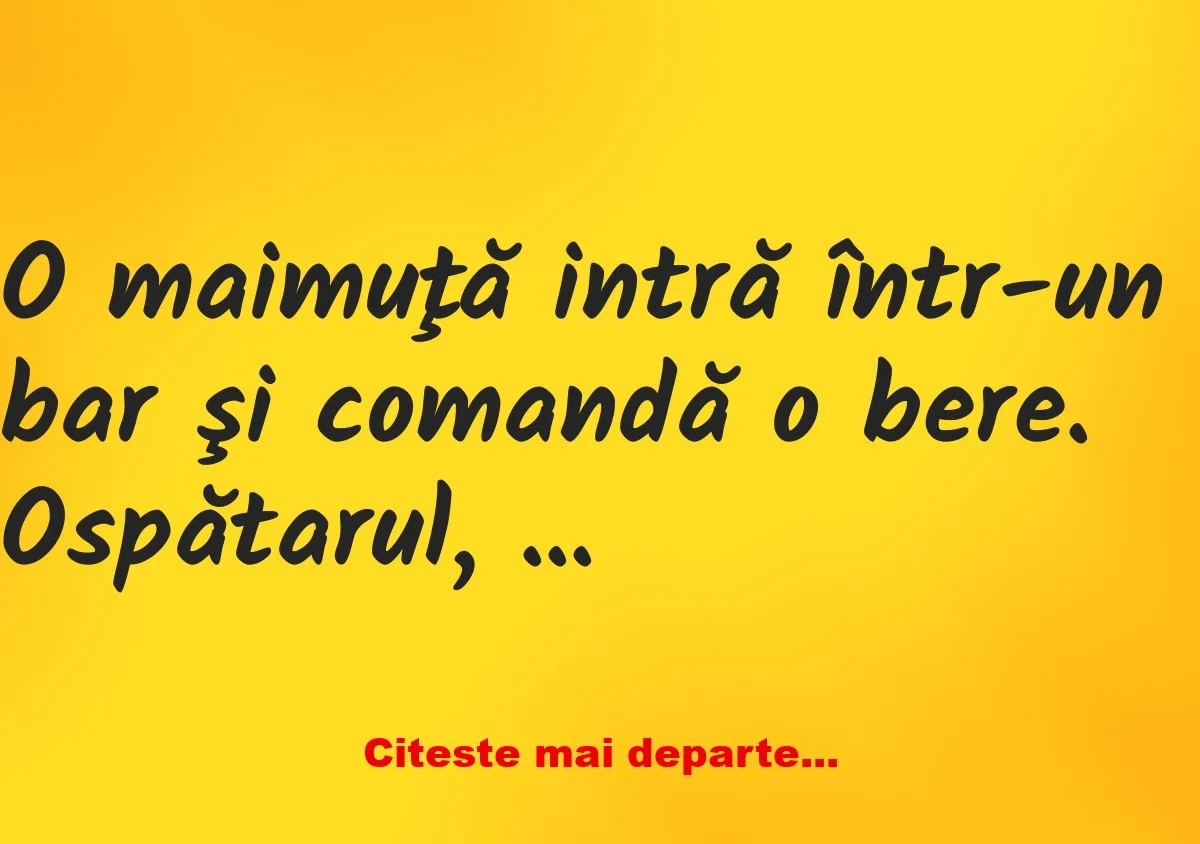 Banc: O maimuţă comandă o bere rece: – 100 de lei!