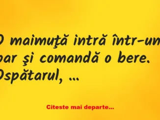 Banc: O maimuţă comandă o bere rece: – 100 de lei!