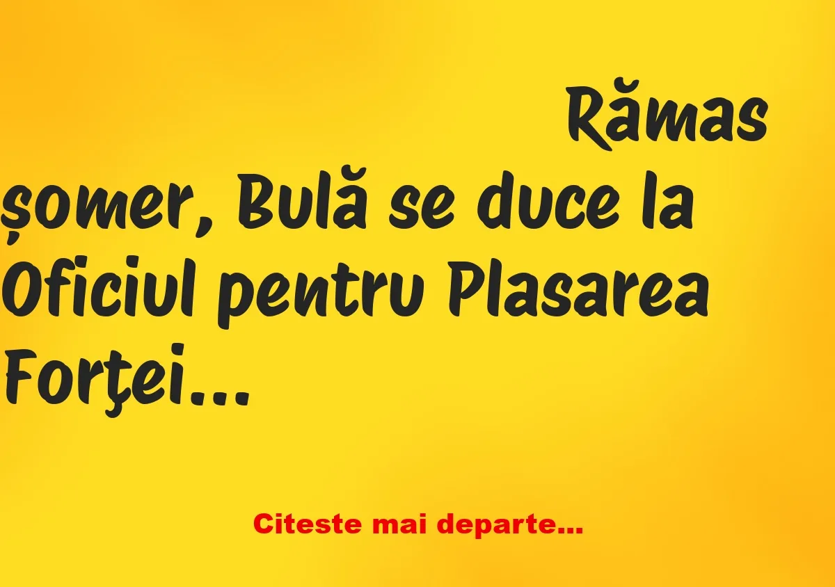 Banc: Rămas șomer, Bulă se duce la Oficiul pentru Plasarea Forţei de Muncă.