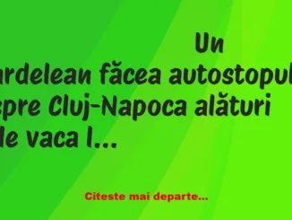 Banc: Un ardelean făcea autostopul- Cu vaca ce facem