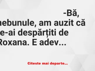 Banc: -Bă, nebunule, am auzit că te-ai despărțiti de Roxana. E adevărat?