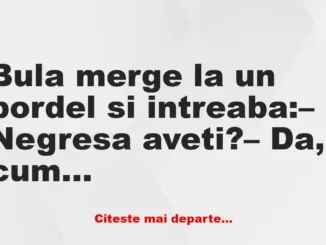 Banc: Bula merge la un bordel şi întreabă: – Negresă aveţi?