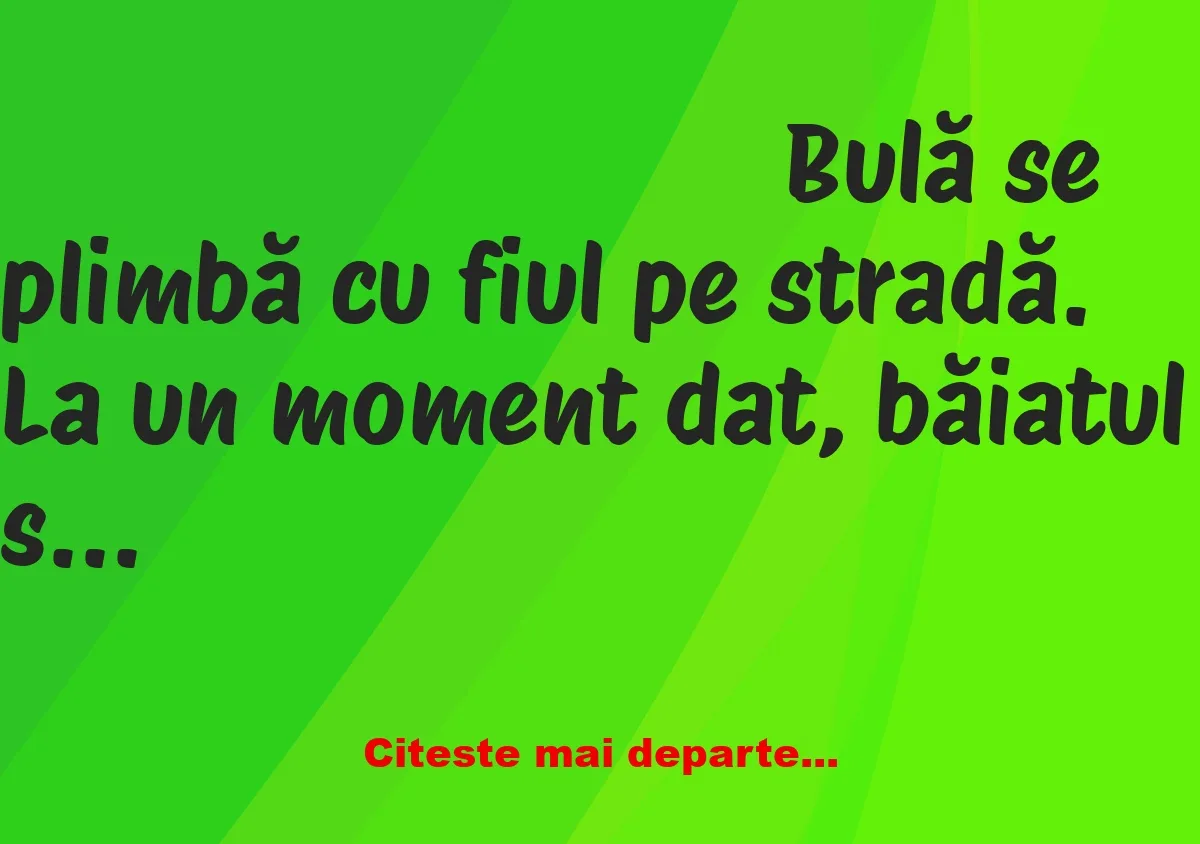 Banc: Bulă se plimbă cu fiul pe stradă. La un moment dat, băiatul salută un…