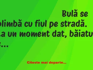 Banc: Bulă se plimbă cu fiul pe stradă. La un moment dat, băiatul salută un…