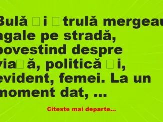 Banc: Bulă și Ștrulă mergeau agale pe stradă –