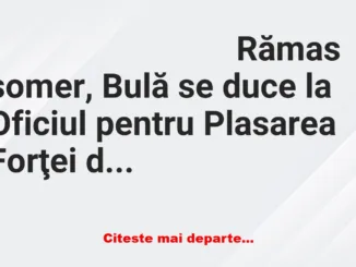 Banc: – Bună ziua, vreau şi eu un loc de muncă. – Avem ceva foarte bine…