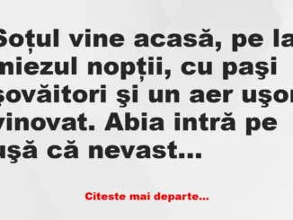 Banc: De unde ai ruj pe gulerul cămăşii? –