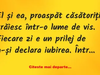 Banc: El și ea, proaspăt căsătoriți –