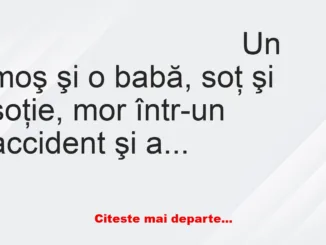 Banc: Îngerul de serviciu îi duce pe muritori pe o plajă plină de palmieri