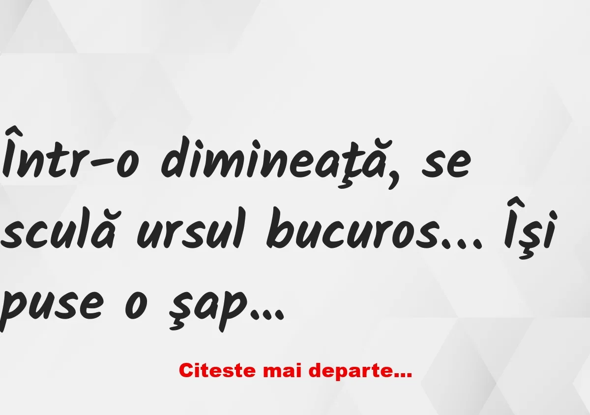 Banc: Într-o dimineaţă, se sculă ursul bucuros… Îşi puse o şapcă pe cap…