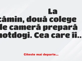 Banc: La cămin, două colege de cameră prepară hotdogi. Cea care îi…