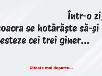 Banc: Mama soacră își pune la încercare cei 3 gineri și se aruncă în fântână