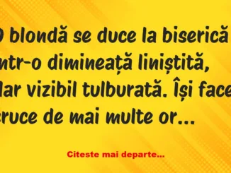 Banc: Părinte, am păcătuit! –