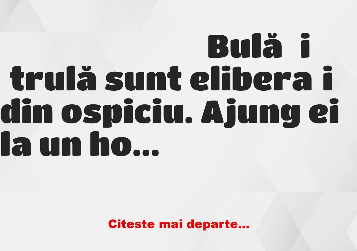 Banc: – Ștrulă, culcă-te sau îl sun pe domnul doctor și te întorci la…