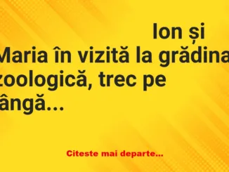 Banc: – Unde-i leul? – La leoaică!