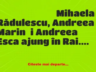 Banc: Vedetele ajung în Rai. Sfântul Petru le spune: – Fetelor, vă puteți…