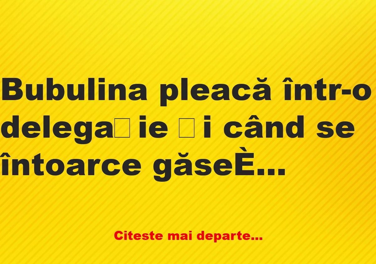 Banc: Bubulina găseşte în casă o pereche de chiloți care nu erau ai ei