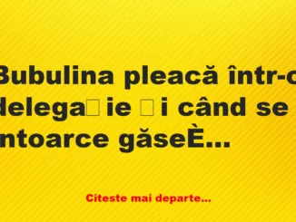 Banc: Bubulina găseşte în casă o pereche de chiloți care nu erau ai ei