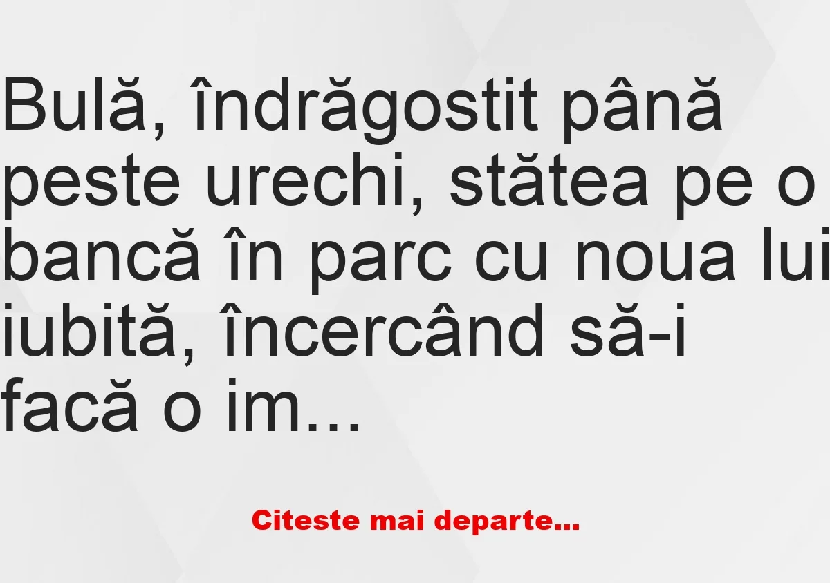 Banc: Bulă, îndrăgostit până peste urechi –