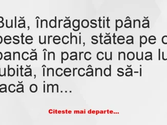 Banc: Bulă, îndrăgostit până peste urechi –