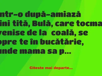 Banc: Ce-i aia amantă? –