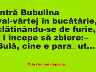 Banc: Cine e parașuta aia cu care flirtai pe Facebook adineaori? -…