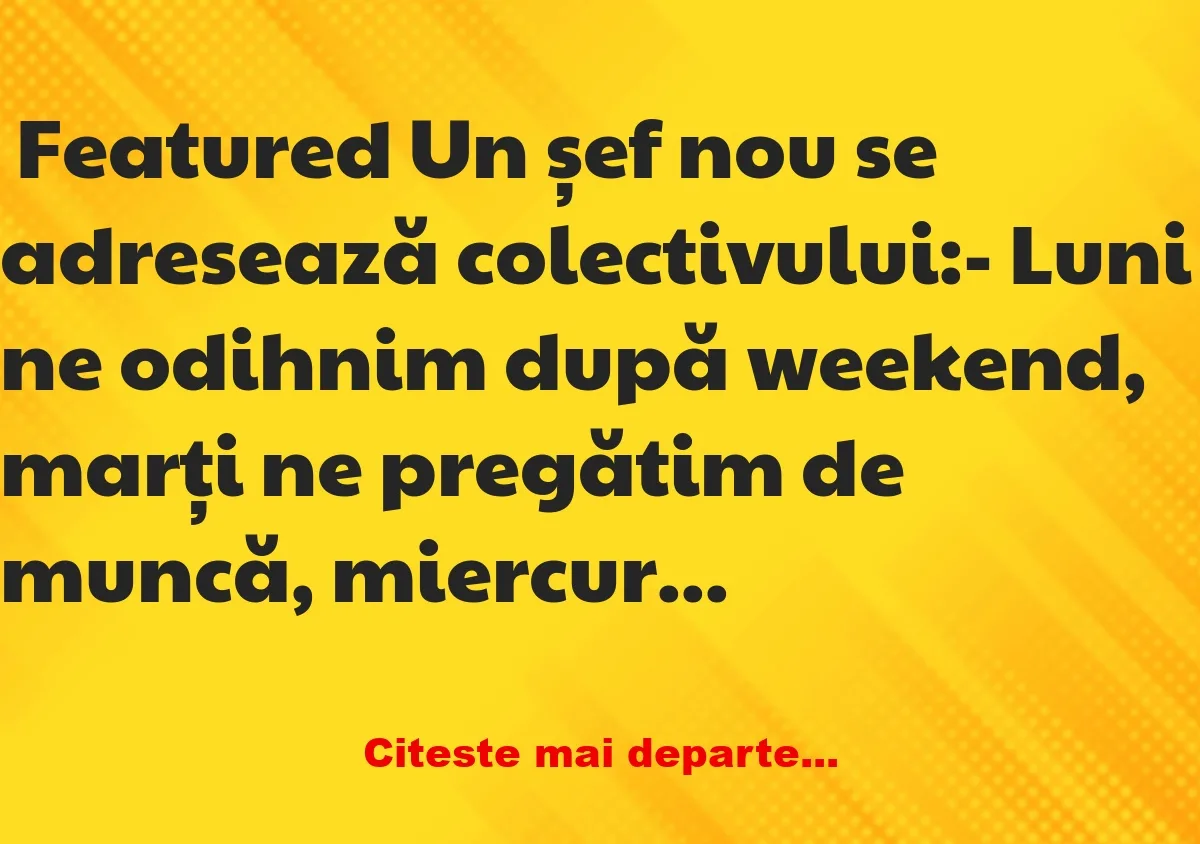 Banc: Cum organizează un șef săptămâna de lucru