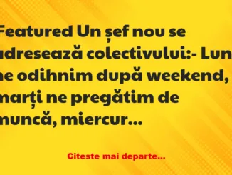 Banc: Cum organizează un șef săptămâna de lucru