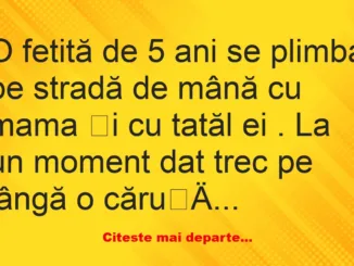 Banc: Discuții pe baza unor explicații date de o mamă