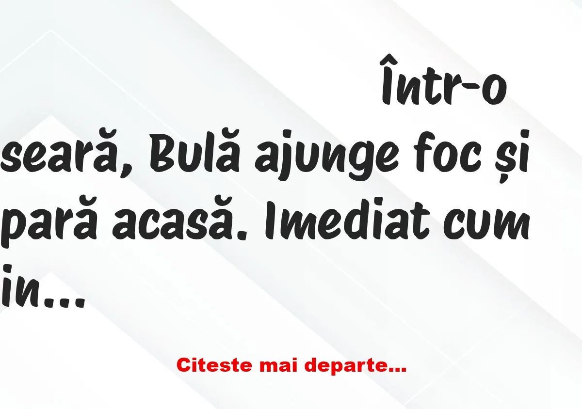 Banc: Imediat cum intră pe ușă, BULĂ își ceartă nevasta: