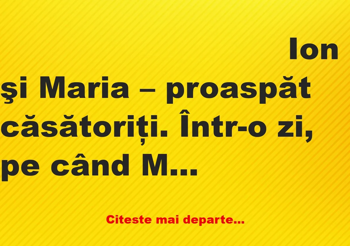 Banc: Ion trebăluia prin ogradă. Apare Vasile şi strigă: