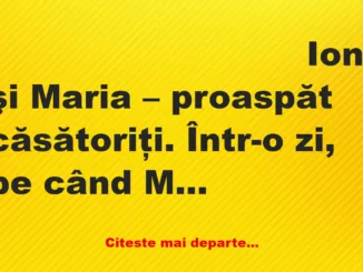 Banc: Ion trebăluia prin ogradă. Apare Vasile şi strigă: