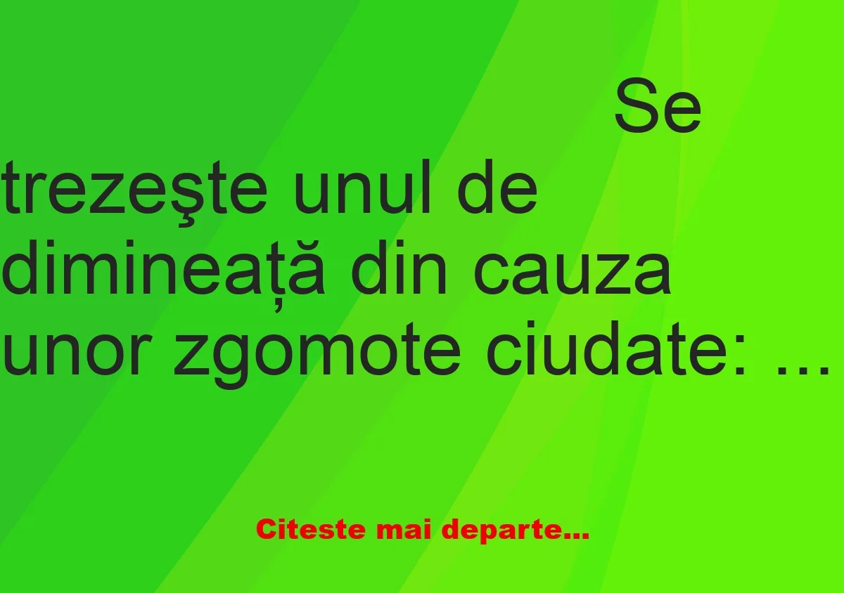 Banc:  Se trezeşte unul de dimineaţă din cauza unor zgomote ciudate