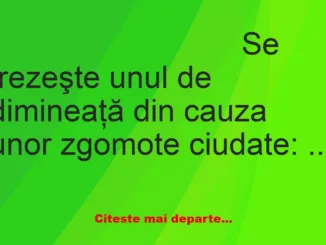 Banc:  Se trezeşte unul de dimineaţă din cauza unor zgomote ciudate