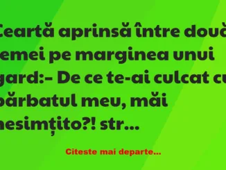 Banc: Te-ai culcat cu bărbatul meu? –