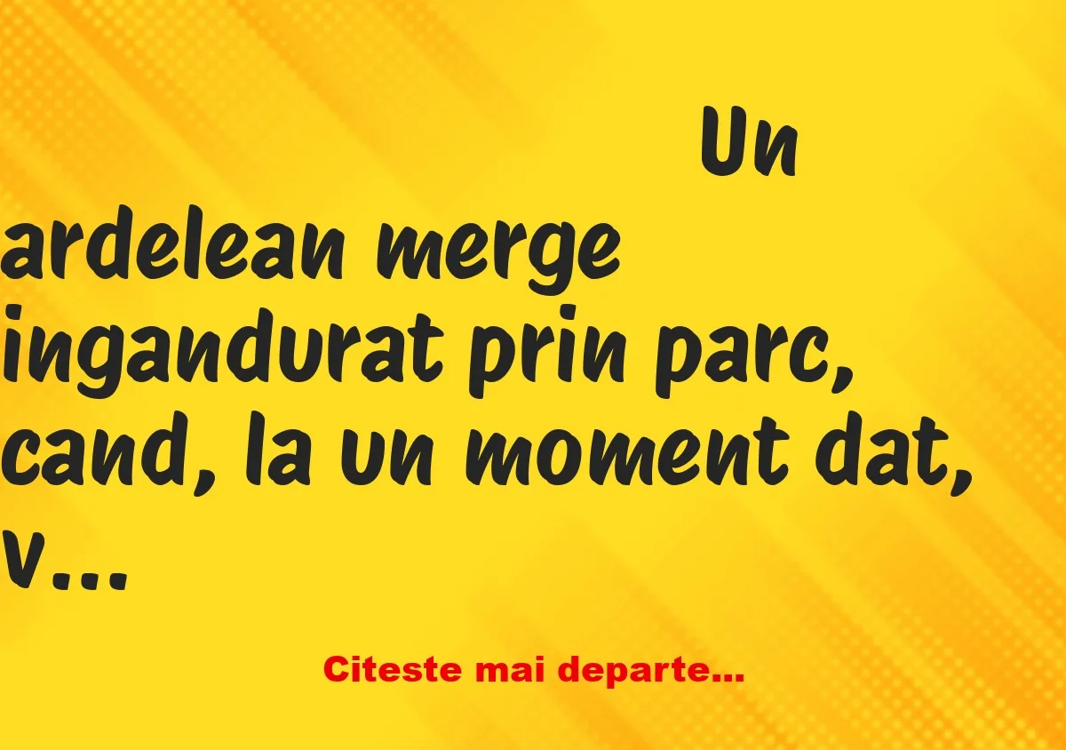 Banc: Un ardelean merge ingandurat prin parc, cand, la un moment dat, vede…