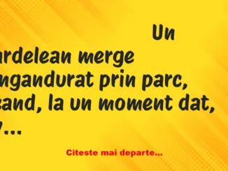 Banc: Un ardelean merge ingandurat prin parc, cand, la un moment dat, vede…