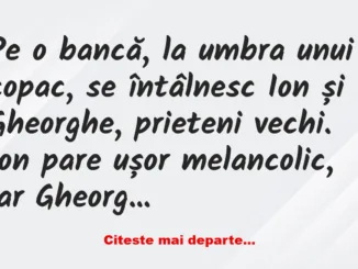 Banc: V-ați căsătorit? –