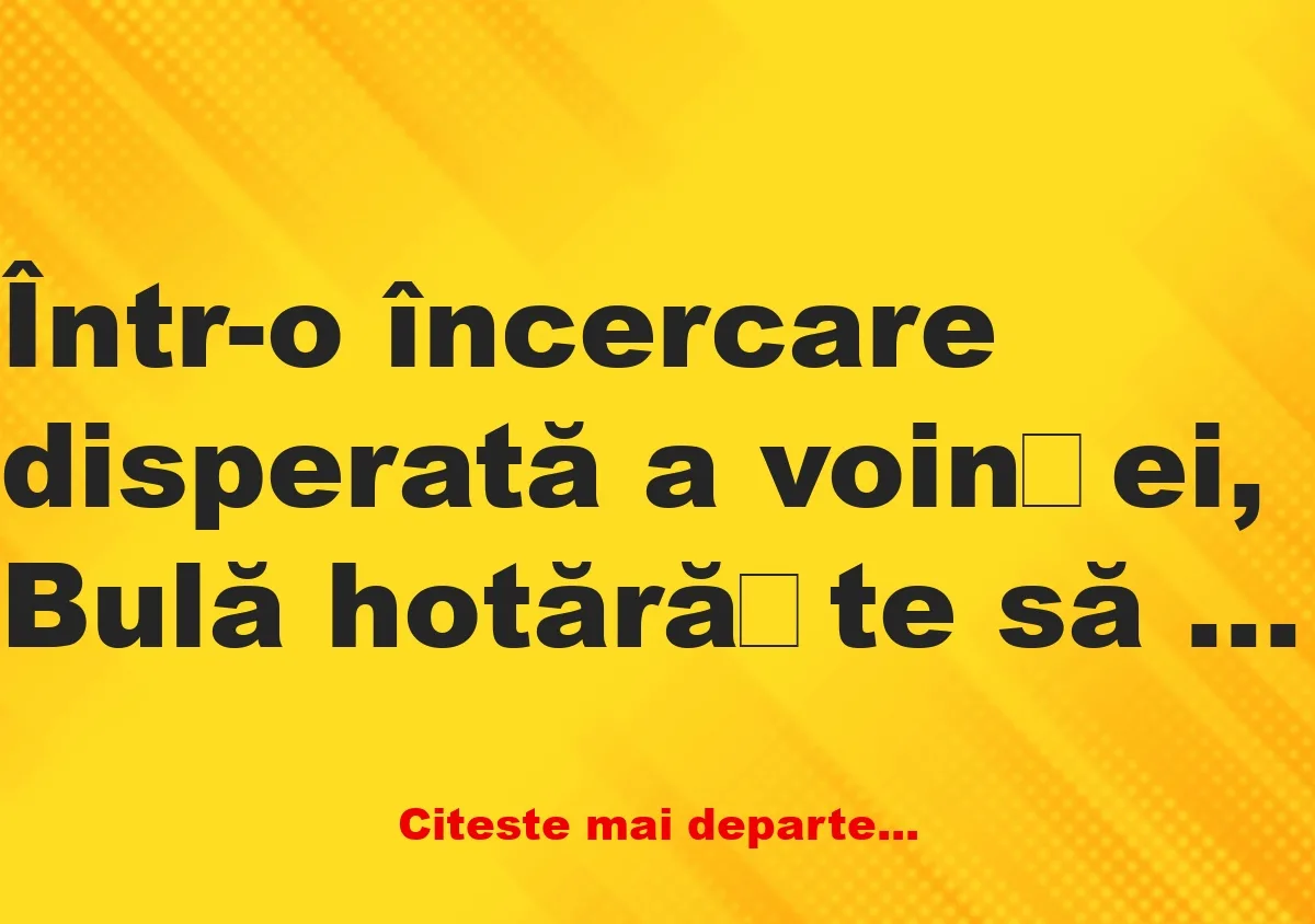 Banc: Bulă bate la ușa dormitorului: – Ghici cine e!