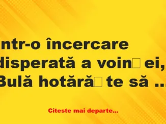 Banc: Bulă bate la ușa dormitorului: – Ghici cine e!