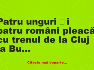 Banc:  Patru unguri și patru români pleacă cu trenul, pe ruta Cluj –…