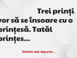 Banc: Trei prinți vor să se însoare cu o prințesă. Trebuie să treacă un test