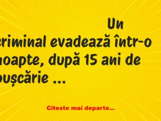 Banc: Un criminal evadează într-o noapte, după 15 ani de pușcărie și intră…